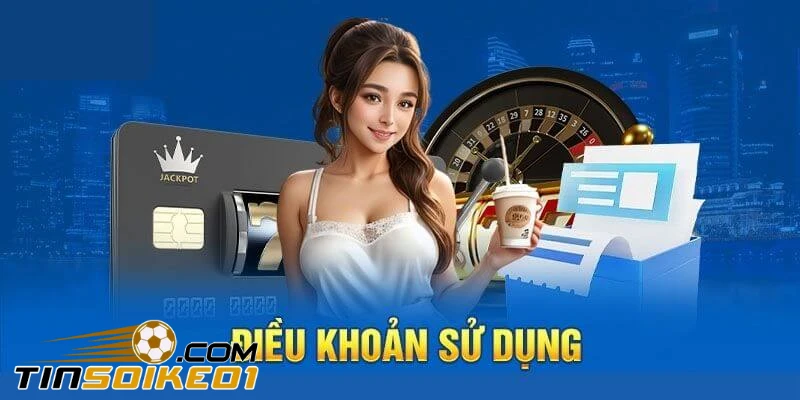 Điều khoản sử dụng của accountexecutive.co